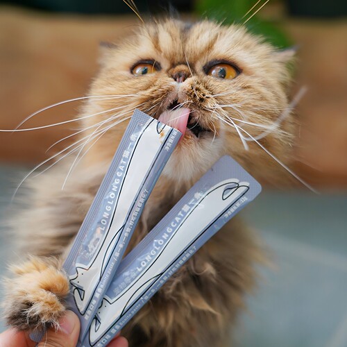 宅猫酱 FURRYTAIL尾巴生活猫一条肉条猫零食猫咪肉泥湿粮条6条/袋 - 图1