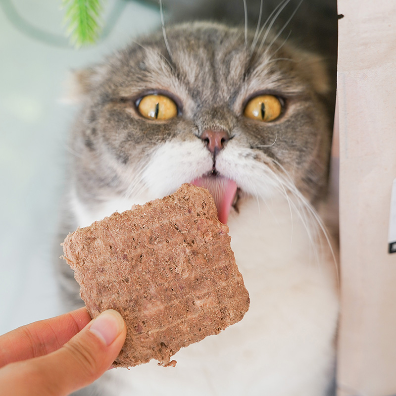 宅猫酱Vital ESSENTIALS生骨肉猫咪ve冻干肉饼无谷全价猫粮226.8g - 图2
