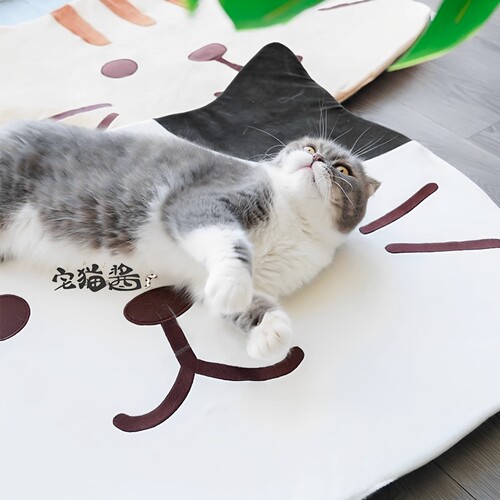 宅猫酱 主奴皆宜猫脸卡通地垫卧室客厅垫子脚垫浴室卫生间防滑垫 - 图0
