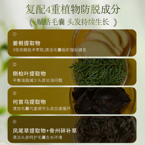 有情生姜防脱洗发水男女控油育发固发洗发露官方正品产后脱发专用 - 图1