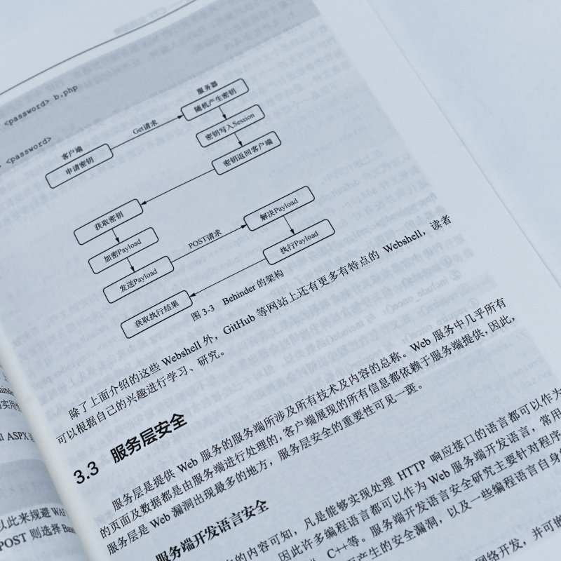 网络空间攻防技术原理 网络空间*实践能力分级培养系列教材CTF竞赛Crypto注入漏洞Pwn网络攻防 - 图3