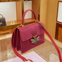 2024 New Tide Fashion Models Rich in Thousand Gold Chaebol Temperament Advanced Senses Pet Bag Carry-on Strap Lock Bag