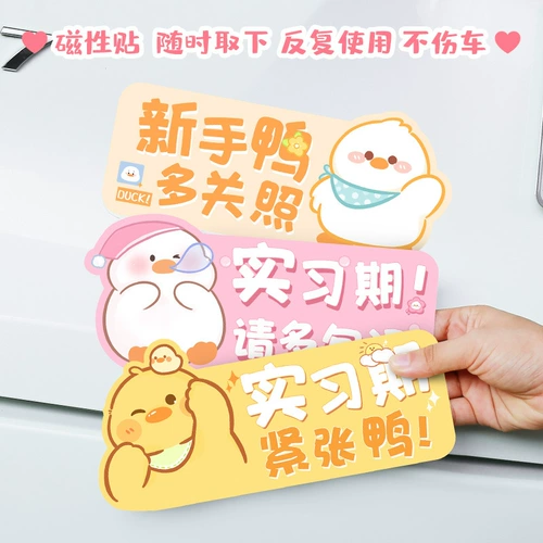 Стажировка новичка наклейка новички женщины -водитель логотип