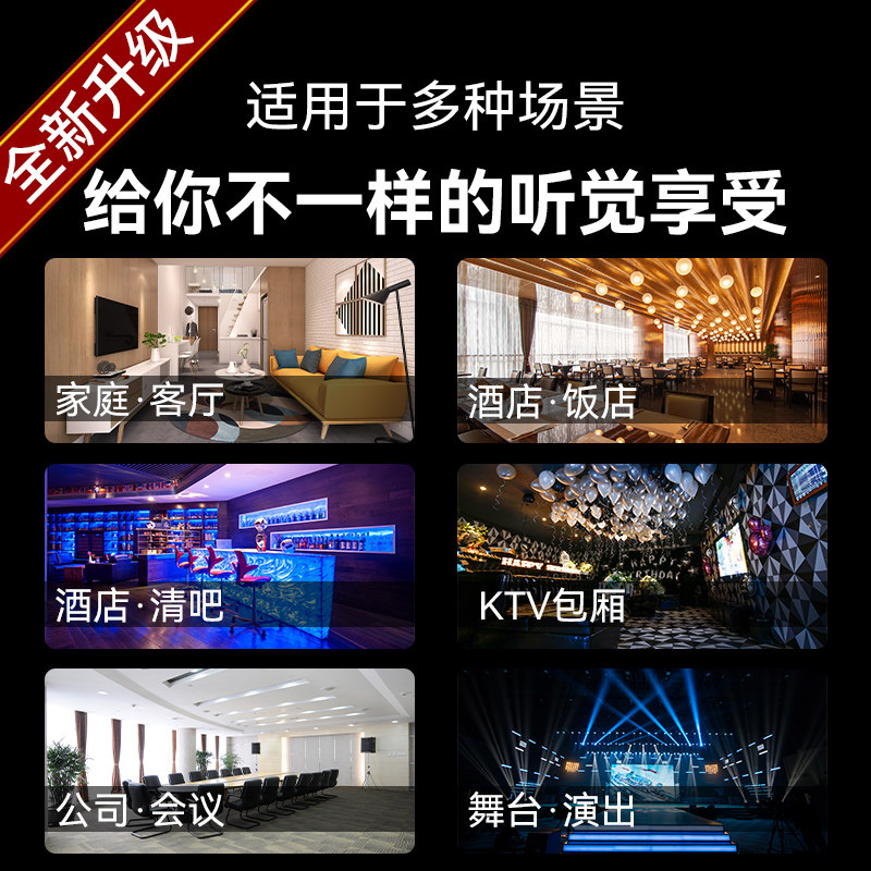 先科家庭ktv套装家用唱歌影院机 先科奇一KTV/卡拉OK音箱