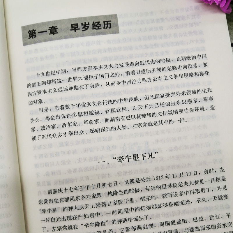 【全9册】中国名人大传曾国藩传+左宗棠+张之洞+李鸿章+梁启超+康有为+纪晓岚+郑板桥+胡雪岩传 历史人物名人传记自传通史书籍 - 图2