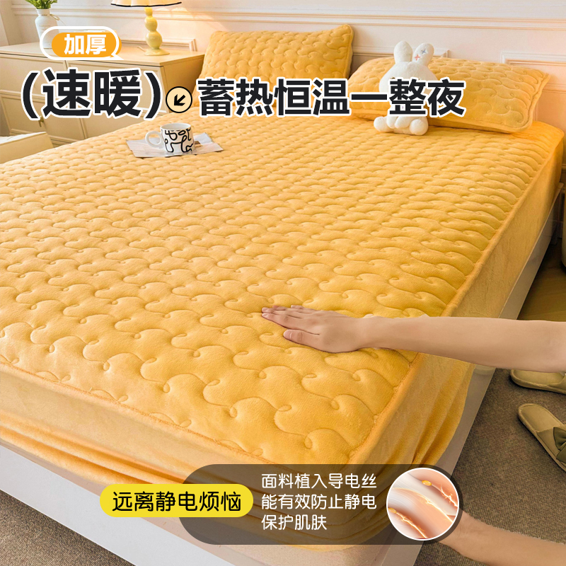 2024秋冬保暖牛奶绒床笠三件套A类卧室珊瑚绒床罩席梦思防滑床单