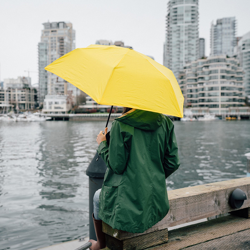 渣洗！Hedgehog折叠雨伞 创意防风抗风超轻遮阳伞 商务高端晴雨伞 - 图0