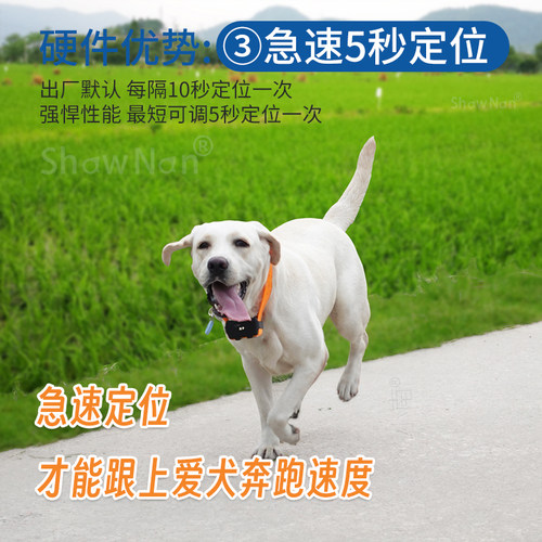 星矛M1pro GPS卫星宠物狗狗北斗定位器追踪仪项圈寻找猎犬牛羊马 - 图2