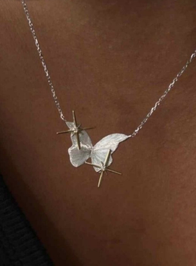 新款紫水晶蝴蝶流苏四芒星拼接项链春季锁骨链小众个性配饰潮流饰