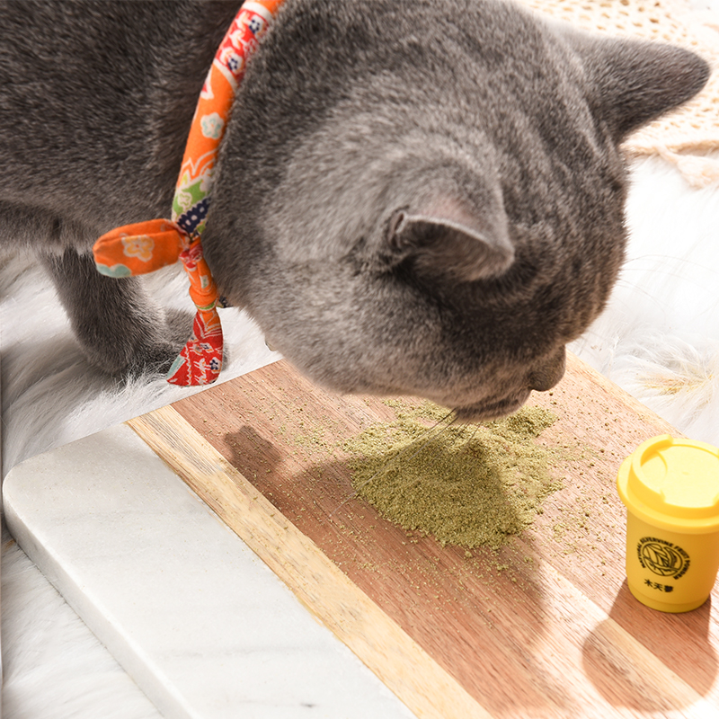 好命天生猫零食猫薄荷三连杯 热品库 性价比省钱购 好命天生猫零食猫薄荷三连杯 热品库 性价比省钱购