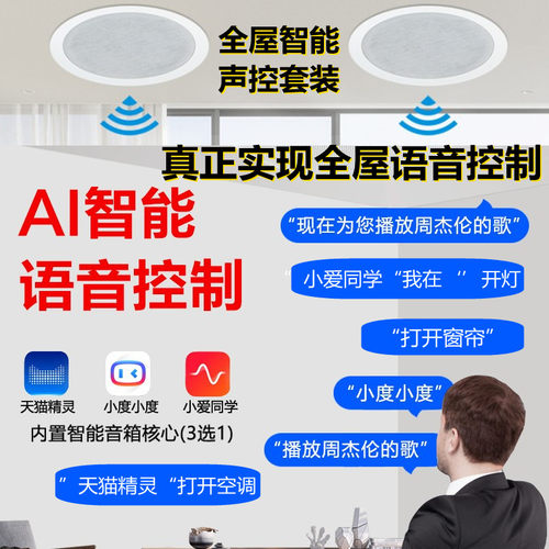全屋智能声控背景音乐主机小爱 天猫精灵 小度吸顶音响吊顶嵌入式 - 图2