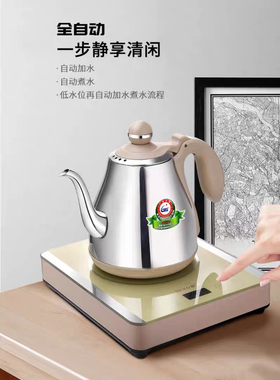 Seko新功W16底部上水电热水壶全自动玻璃烧水壶家用泡茶壶电茶炉