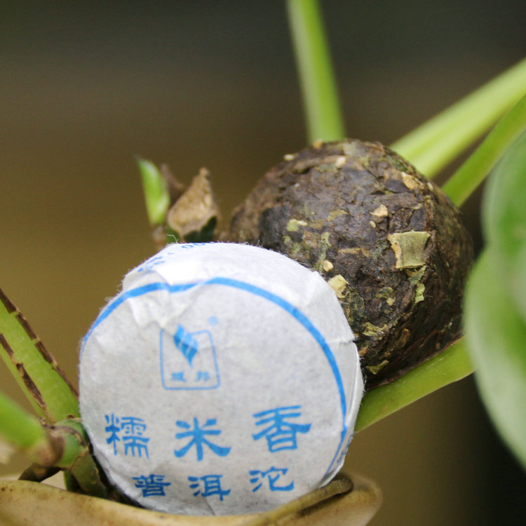 云南陈年古树普洱茶叶迷你小沱茶域邦糯香普洱茶沱茶叶饼宫廷包邮-图0