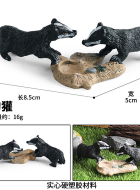 儿童认知仿真野生哺乳动物模型玩具狗獾幼崽鼬科獾山獾猹家居摆件