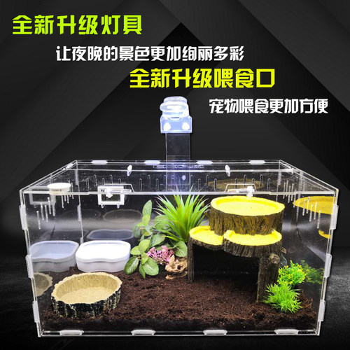 爬虫箱仓鼠亚克力饲养盒子寄居蟹蜘蛛角蛙守宫蜥蜴爬宠昆虫生态箱 - 图0