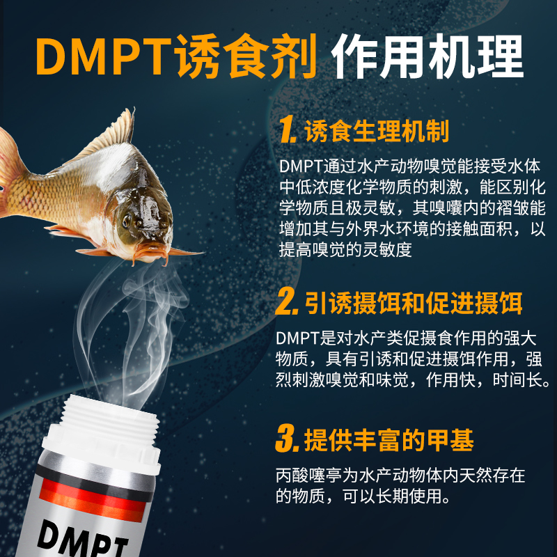 钓鱼小药dmpt鲫鱼野钓鲤鱼草鱼开口诱鱼添加剂黑坑专用鱼饵料大全-图2