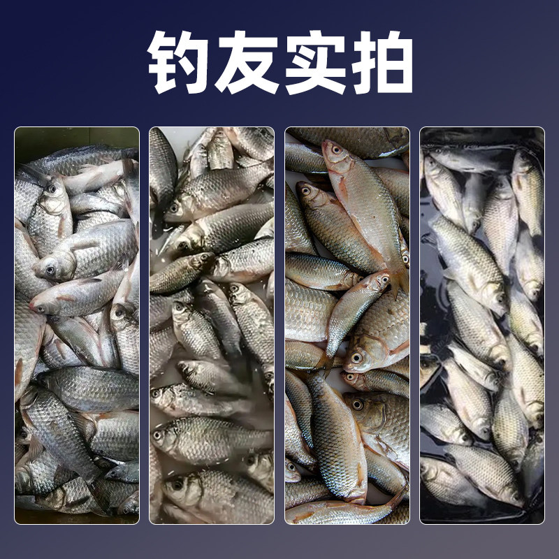 新款七星漂线组超醒目大漂豆小金砣朝天钩防挂底草洞专用钓鱼套装,淘宝优惠券,粉丝福利购,淘宝优惠卷