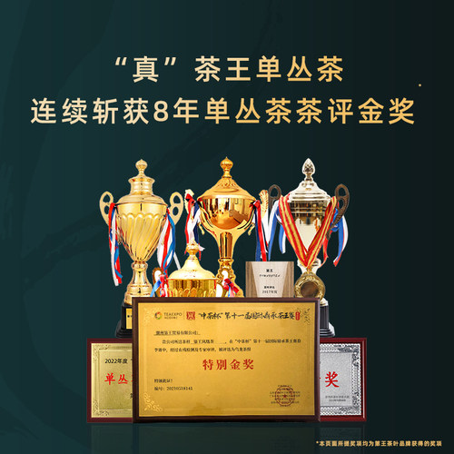 【狮头黄枝香】黄枝香入口黄栀花香气明显滑口润喉饱满高货礼盒装 - 图2