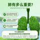 ຜະລິດຕະພັນຮັກສາສຸຂະພາບປອດ quercetin dihydropulmonary quercetin ນຳເຂົ້າຈາກອາເມລິກາ ຜະລິດໃນປະເທດຈີນ