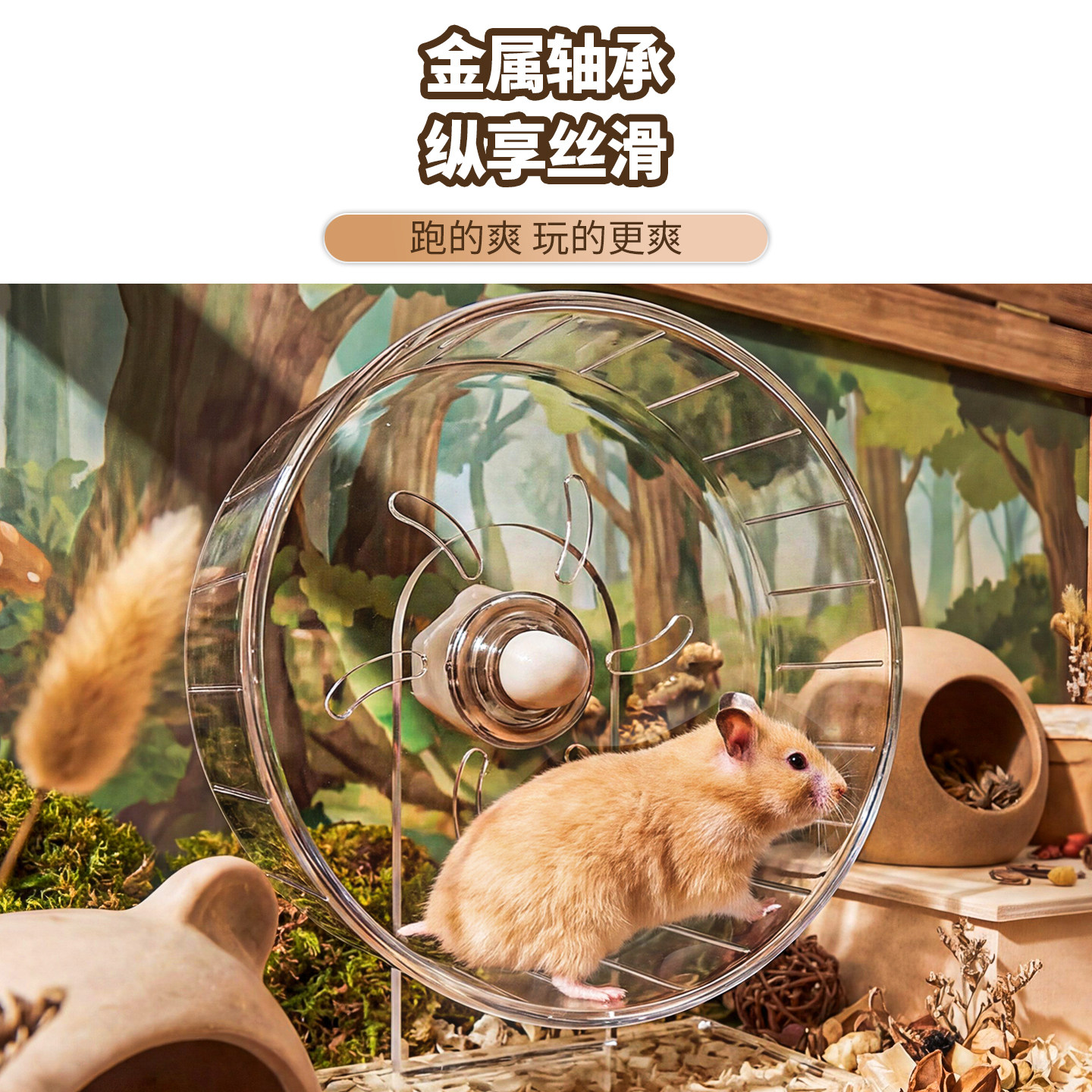 仓鼠跑轮静音玩具滚轮透明跑步娱乐玩具造景超宽花枝鼠金丝熊用品,淘宝优惠券,粉丝福利购,淘宝优惠卷