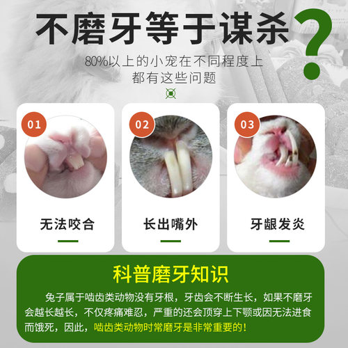 兔子啃咬棒仓鼠金丝熊饼龙猫小零食宠物玩具串草饼小宠用品 - 图0