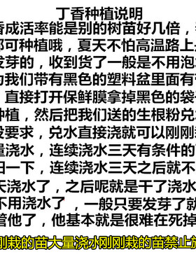 丁香花树苗浓香花苗花卉植物耐寒庭院四季室外别墅白紫丁香花盆栽