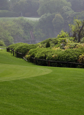 草坪泥土马尼拉庭院别墅小区