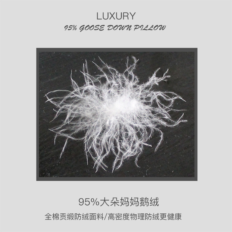 OWNFUN五星级酒店羽绒枕芯95白鹅绒枕头单人枕芯软硬枕一对装减50,淘宝优惠券,粉丝福利购,淘宝优惠卷