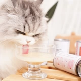 Teb tang en bai cat house life кот молоко молоко кот кот рыцар