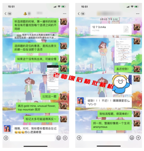 雅思托福听力、阅读、口语、写作、 一对一网课 个性化定制教学 - 图1