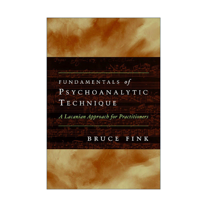 英文原版 Fundamentals of Psychoanalytic Technique 精神分析技术的基础 拉康派实践者指南 Bruce Fink 英文版 进口英语原版书籍 - 图0