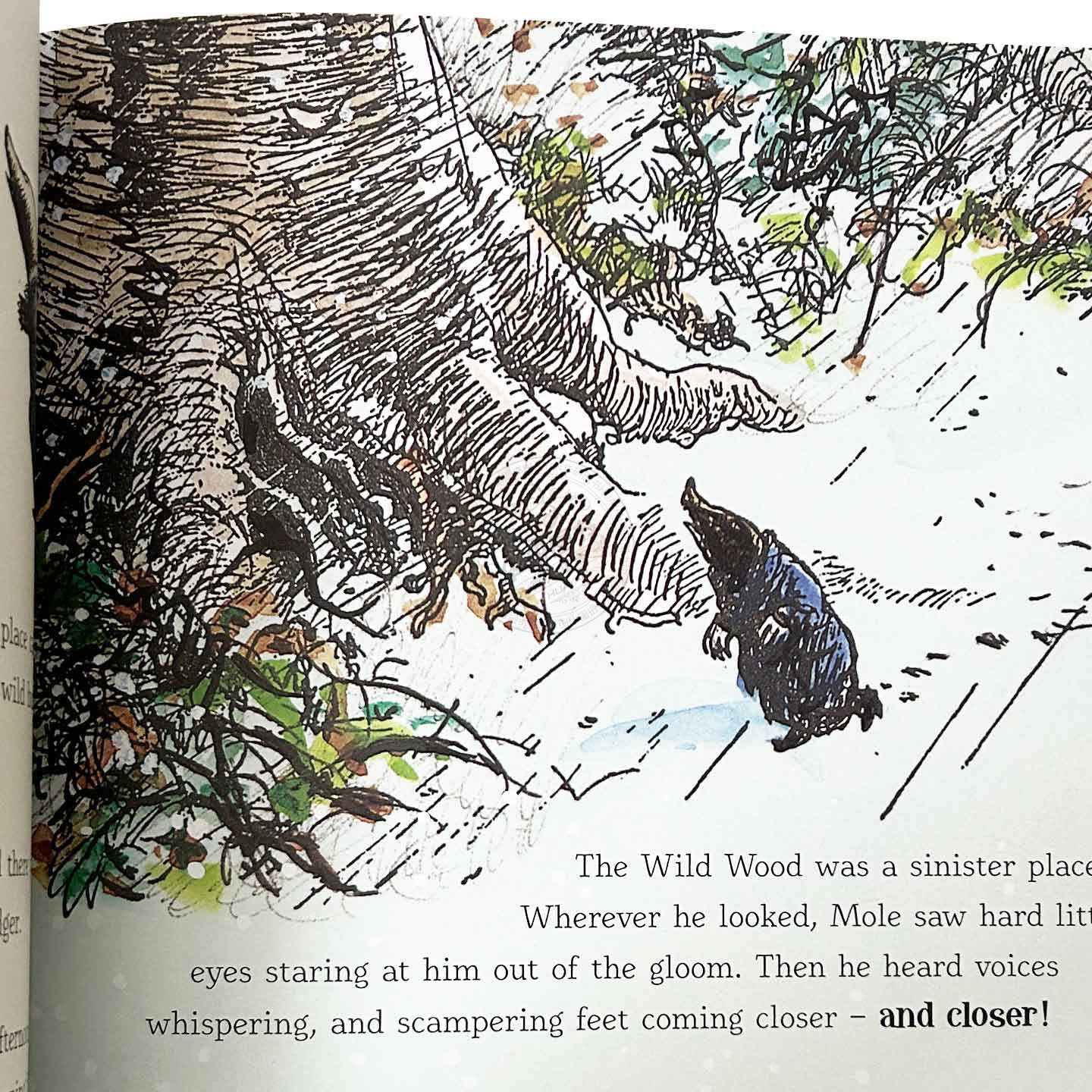 柳林风声 90周年纪念版绘本图画书 英文原版 Wind in the Willows Anniversary Gift Picture Book E.H.谢泼德插画 进口英语书籍 - 图1