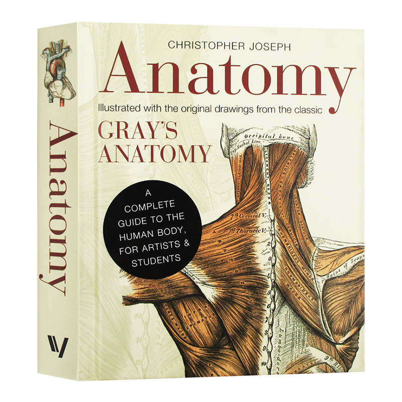 人体解剖指南 英文原版 Anatomy A Complete Guide to the Human Body 英文版 进口原版英语科普读物书籍搭DK系列儿童艺术百科全书 - 图0