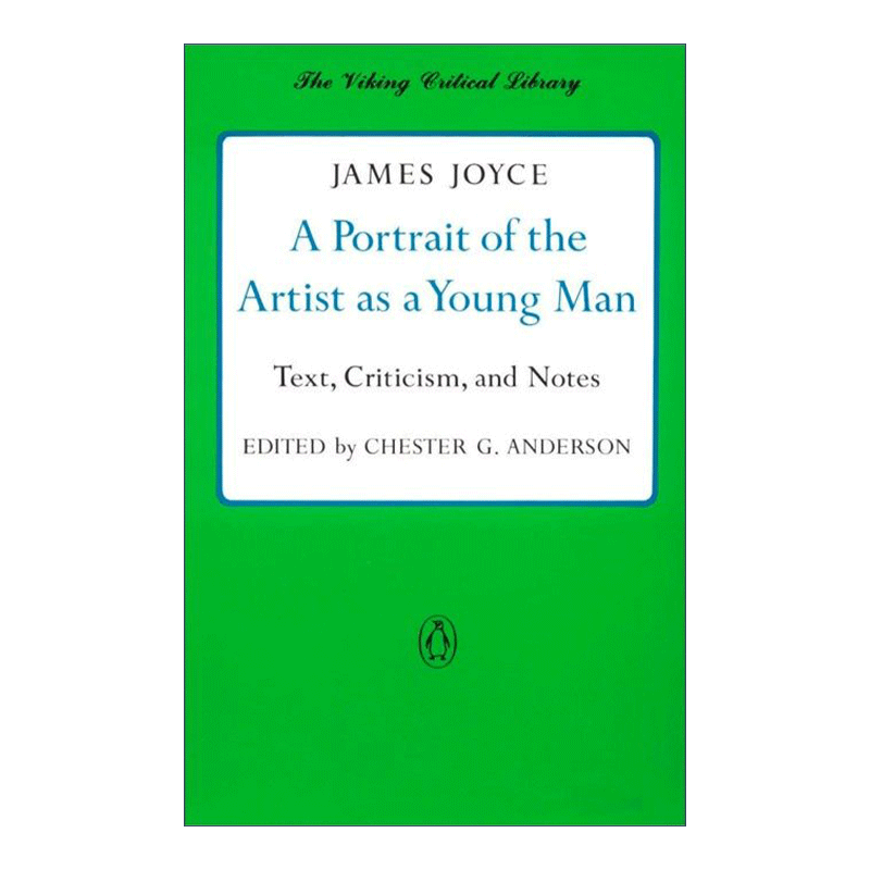一个青年艺术家的画像 英文原版 A Portrait of the Artist as a Young Man 文本 批评 笔记 James Joyce 英文版 进口英语书籍 - 图0