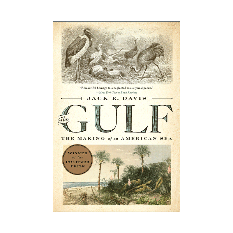 英文原版 The Gulf 美国海 墨西哥湾的历史 普利策奖 Jack E. Davis 英文版 进口英语原版书籍 - 图0