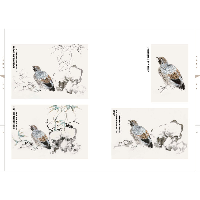 人美画谱 华岩(喦)大开本 水墨丹青山水画高清临摹步骤详解 视频教学 中国画技法示范深度解析古人习画技巧 人民美术出版社,淘宝优惠券,粉丝福利购,淘宝优惠卷