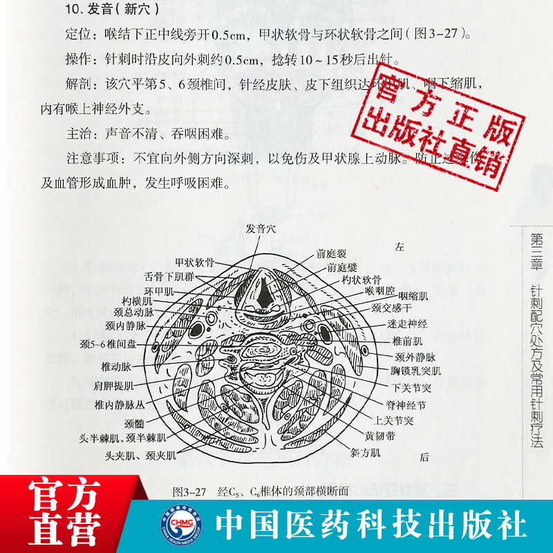 高维滨针刺十绝神经疑难病针刺灸六绝新诊治疗法附视频中医临床神经系统疾病针刺灸配新穴处方诊疗法医验案经验康复神经科医师参考 - 图2