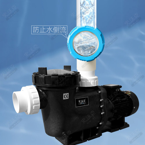 游泳池循环水泵出水止回阀循过滤水泵单向阀透明盖ABS二通阀设备 - 图0