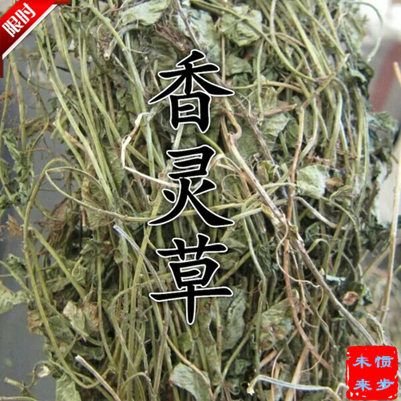 香灵草500g包邮青岛香料灵香草段正品干货调味料驱蚊备注磨灵草粉 - 图1