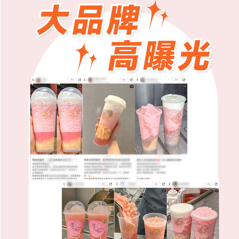 权焠帮白桃丁罐头水蜜桃桃子蜜桃罐头桃肉桃果肉果粒果丁糖水桃丁,淘宝优惠券,粉丝福利购,淘宝优惠卷