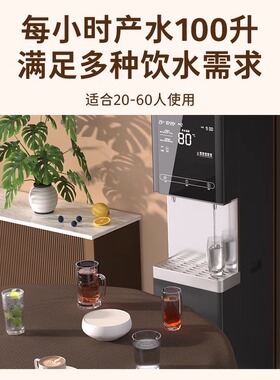 直饮先生直饮水机商用办公室学校工厂大容量电热开水器过滤直饮机