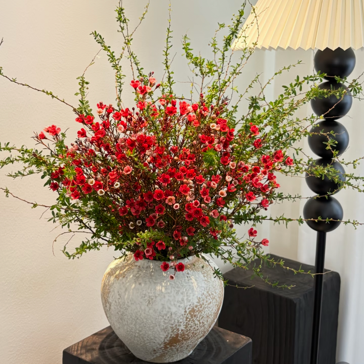 雪柳花鲜花腊梅节日鲜花束家庭混搭花束鲜花速递家庭水养鲜切花,淘宝优惠券,粉丝福利购,淘宝优惠卷