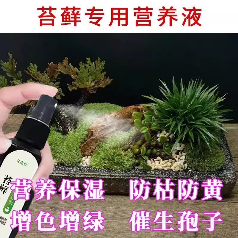 【一喷猛长】苔藓营养液专用肥盆栽绿植液体肥免稀释治黄叶肥料 - 图1