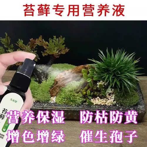 【一喷猛长】苔藓营养液专用肥盆栽绿植液体肥免稀释治黄叶肥料-图1