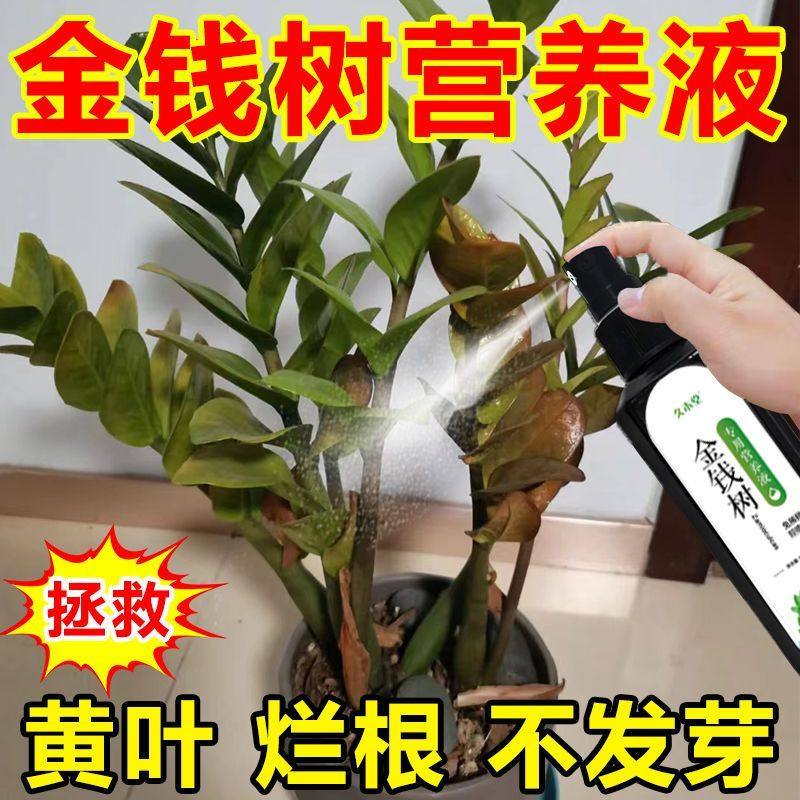 免稀释金钱树专用营养液室内发黄树叶面花肥料花卉盆栽绿植物专用,淘宝优惠券,粉丝福利购,淘宝优惠卷