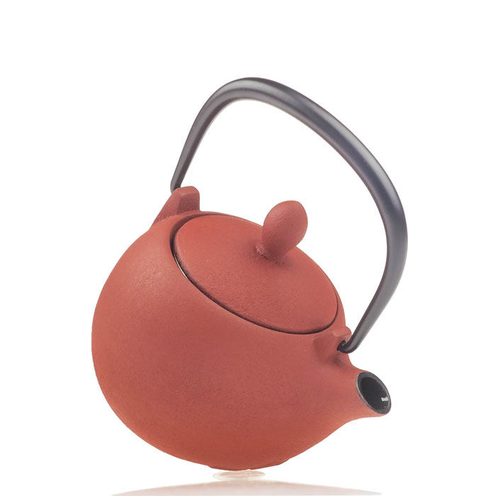 日本进口铁壶特价无涂层纯手工铁器南部手工壶茶具岩铸铁瓶生铁壶,淘宝优惠券,粉丝福利购,淘宝优惠卷