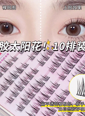 免胶人造纤维太阳花自然上睫毛