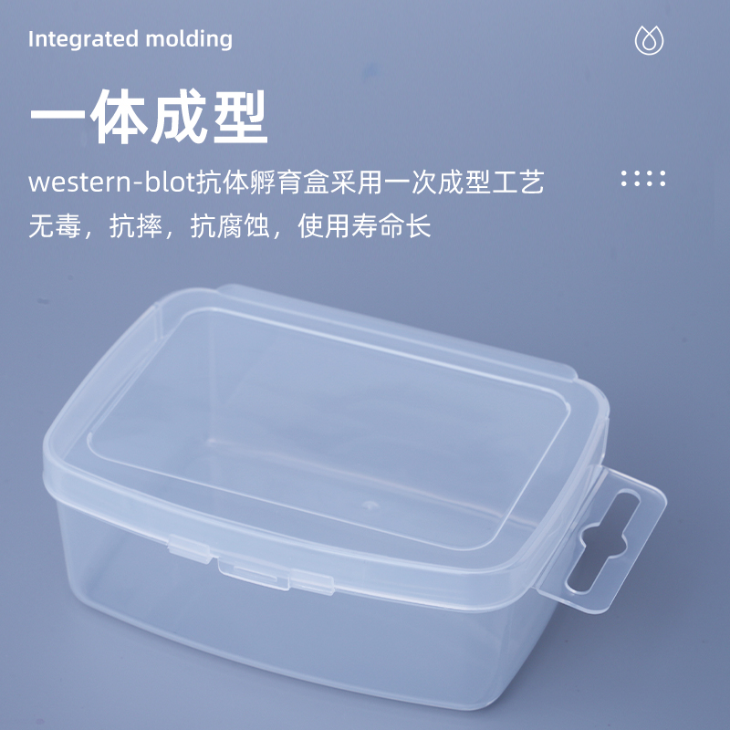 western blot 抗体孵育盒  洗膜盒 脱色盒  封闭盒 单格/5格/6格 - 图1