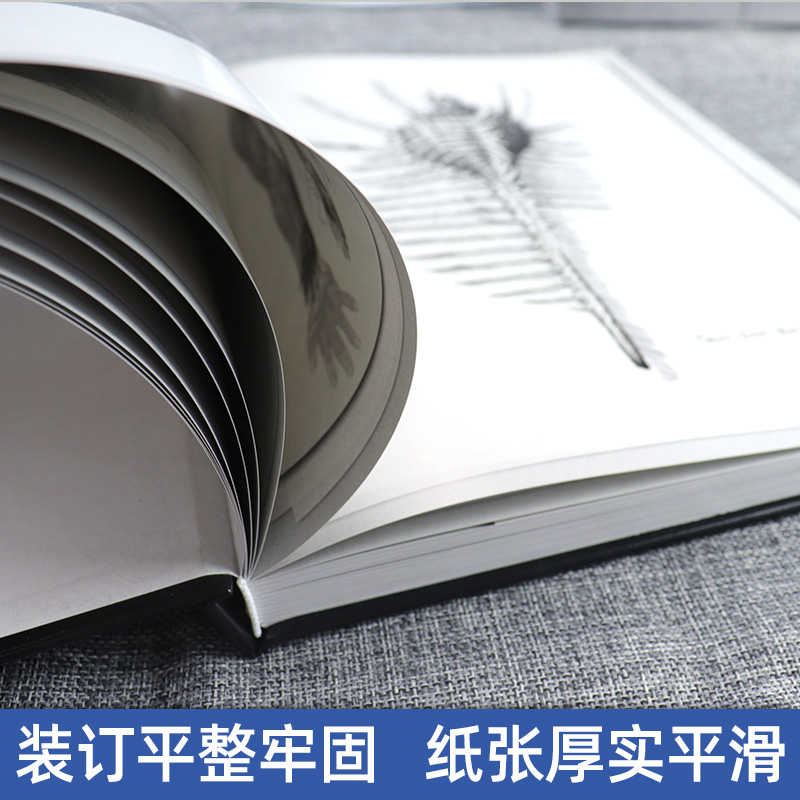 【正版精装2册】异形契约大卫手稿 中文版异形电影宇宙故事剧情人物设定画集笔记概念原画工程师母星普罗米修斯续集完整翻译解读书 - 图3