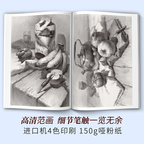 素描静物组合临摹书范本绘画入门教材零基础单体明暗结构水果实物美术生对临初学者图册画画自学8开铅笔手绘中联考高考 - 图0